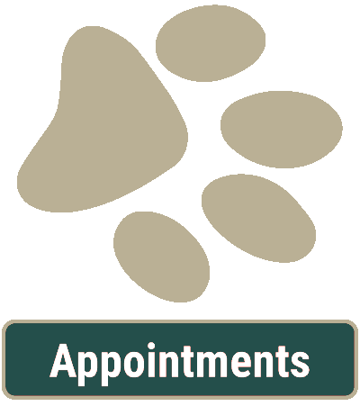 Animal Hospital Appointments