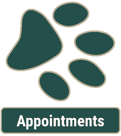 Animal Hospital Appointments