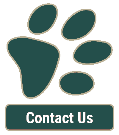 Contact Our Veterinarian