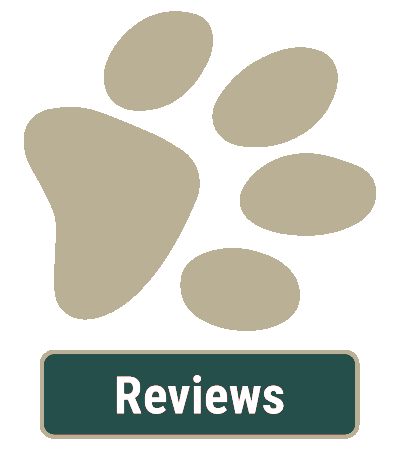Reviews of Our Vet