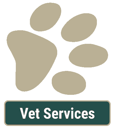 Vet Services in Pflugerville, TX