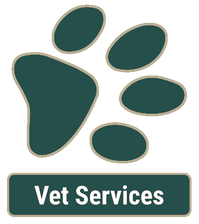 Vet Services in Pflugerville, TX
